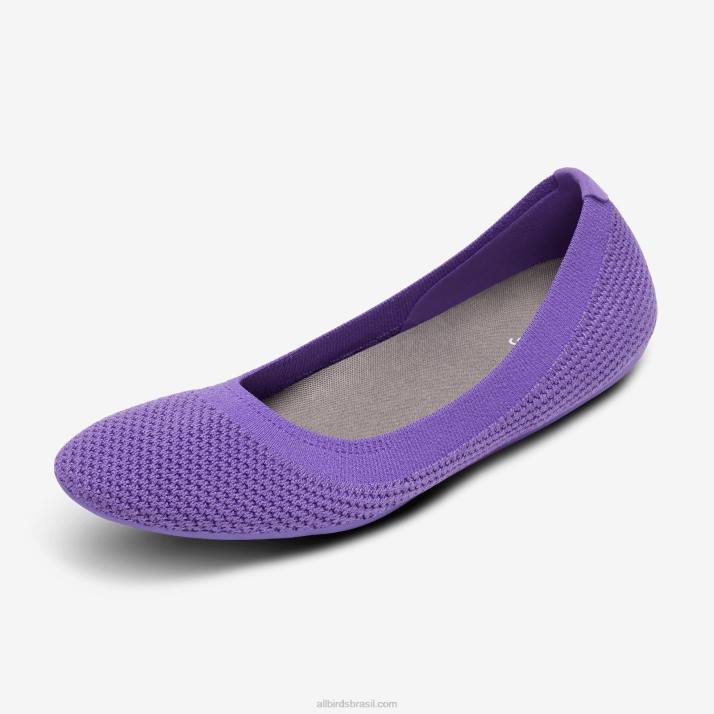 brisas_de_arvore_feminina_884j165_chia_roxo_allbirds.jpg brisas de árvore feminina 884J165 chia roxo Allbirds - Image 1