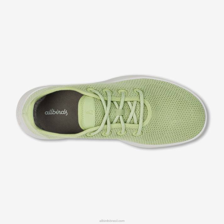 corredores de árvore masculinos 884J12 verde forrageiro (sola nevasca) Allbirds - Image 5
