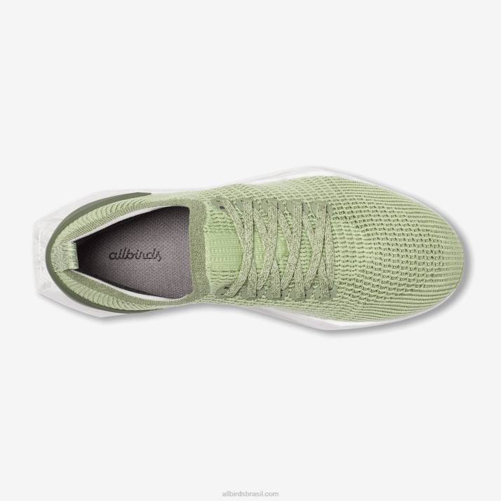 panfletos de árvore para homens 884J98 verde forrageiro (sola nevasca) Allbirds - Image 5