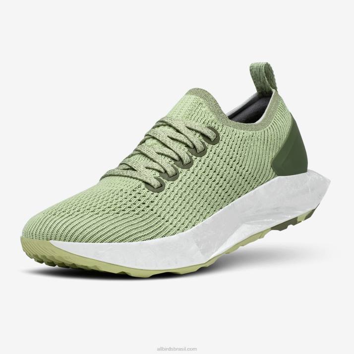 panfletos de árvore para homens 884J98 verde forrageiro (sola nevasca) Allbirds - Image 1