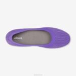 brisas de árvore feminina 884J165 chia roxo Allbirds - Image 5