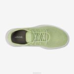corredores de árvore masculinos 884J12 verde forrageiro (sola nevasca) Allbirds - Image 5