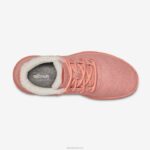 cotão mizzle vice-campeão de lã masculina 884J105 coral calmo Allbirds - Image 5
