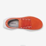 lançador de árvore masculino 2 884J24 ferrugem rad (sola de nevasca) Allbirds - Image 7
